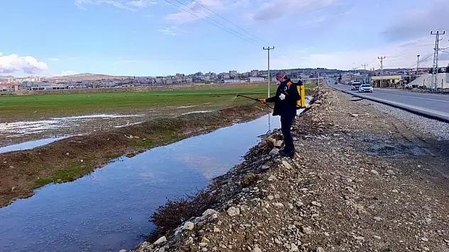 Siirt'te sinek ve haşereye karşı ilaçlama çalışmaları başladı