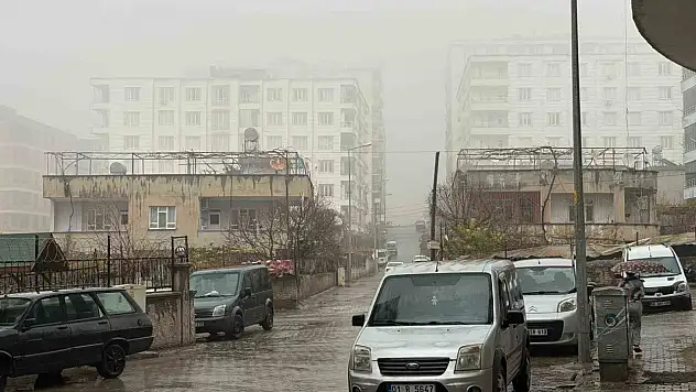 Siirt'te sis ve sağanak yağış etkili oldu