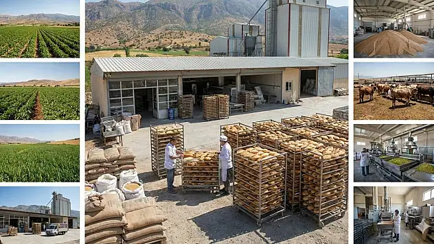 Siirt'te tarıma dayalı sanayi işletme sayısı 179'a ulaştı