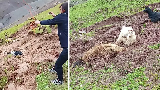 Siirt'te Toprak Kayması: 2 Hayvan Kayboldu, 9'u Kurtarıldı