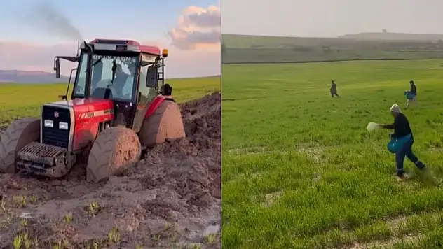 Siirt'te traktörleri çamura gömülen çiftçiler eski yönteme geri döndü