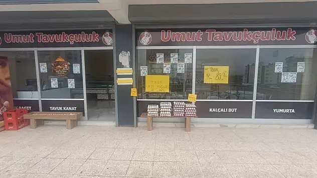 Siirt'te ''Umut Tavukçuluk'' Hizmete Açıldı