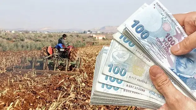 Siirt'te Üreticilere 170 Milyon TL Yakın Destek Ödemesi