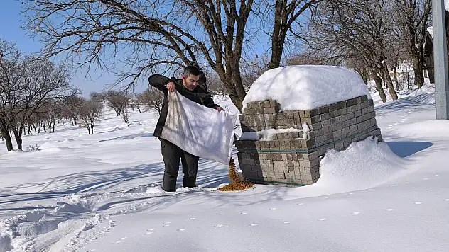 Siirt'te yaban hayvanları için kış şartlarında yem ve mama desteği