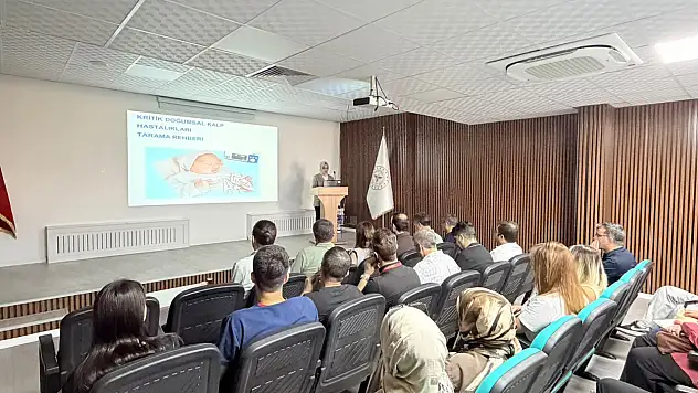 Siirt'te yenidoğan kalp hastalıklarına karşı sağlık çalışanlarına eğitim