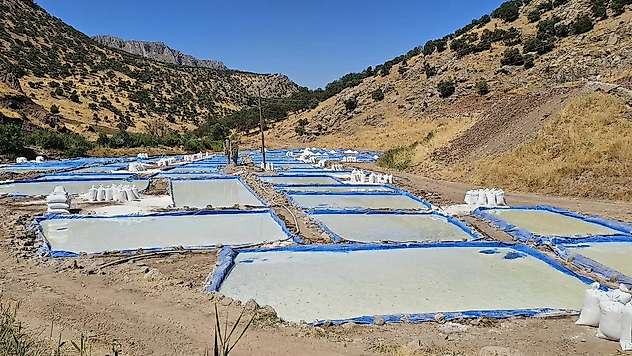 Siirt'te Yılda 550 Ton Üretiliyor! Tuzcular Köyü'nün Ekonomiye Katkısı Büyüyor