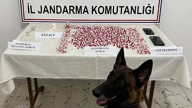 Siirt'te Yolcu Otobüsünde 2 Bin 650 Uyuşturucu Hap Ele Geçirildi