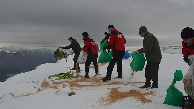 Siirt'te Zorlu Kış Şartlarında Yaban Hayvanları Unutulmadı