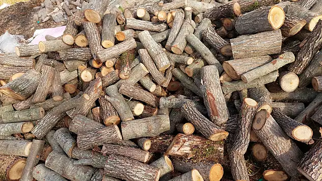 Siirt'teki Okullara 765 Ton Meşe Odunu Alınacak