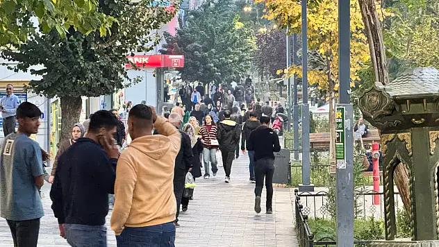 Siirt'ten Göç Edenlerin Sayısı Ve Neden Gittikleri Belli Oldu