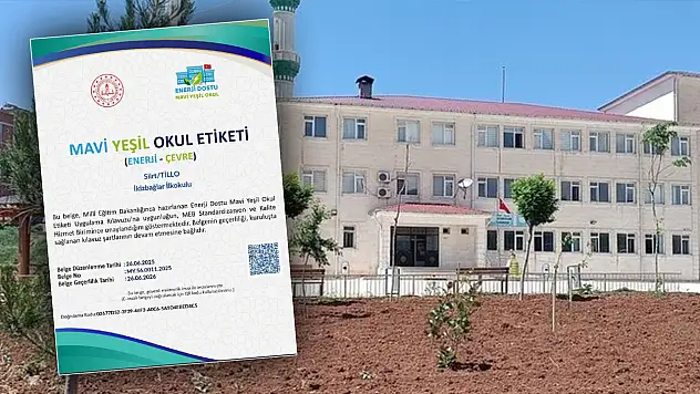 Siirt Tillo İkizbağlar İlk-Ortaokulu ''Mavi Yeşil Okul'' Etiketi Almaya Hak Kazandı