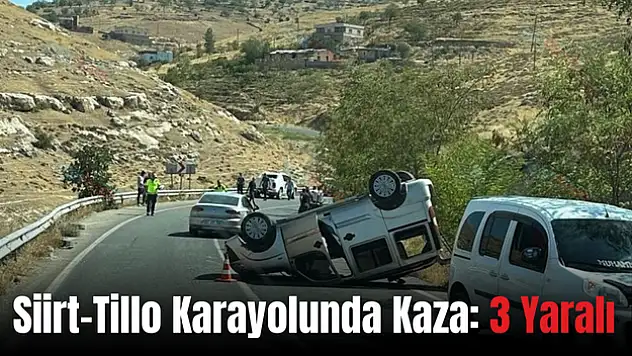 Siirt-Tillo Karayolunda Kaza