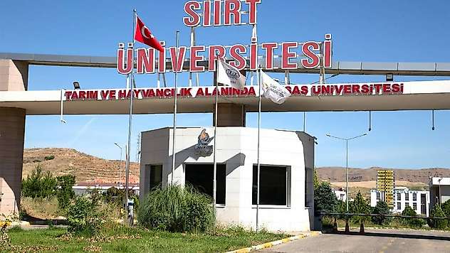 Siirt Üniversitesi'nde 5 Yeni Bölüm Açıldı: İşte Bu Yıl Öğrenci Alacak Bölümler