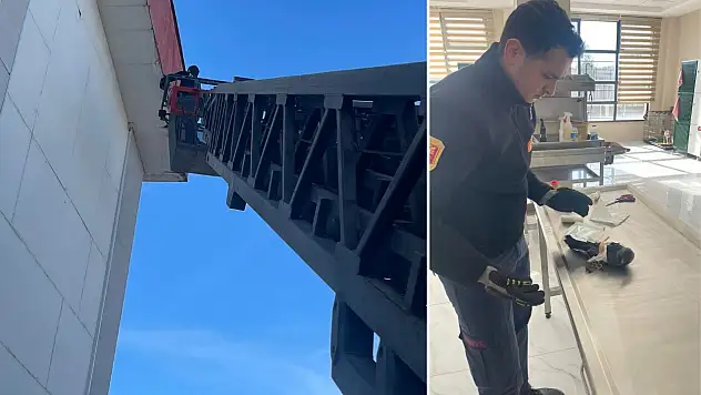 Siirt Üniversitesi'nde yaralı karga itfaiye ekiplerince kurtarıldı