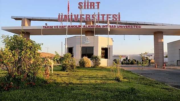 Siirt Üniversitesi'nin Harcama Raporu Açıklandı: Hangi Fakülte Ne Kadar Harcadı Belli Oldu