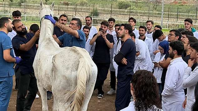Siirt Üniversitesi Öğrencileri At Çiftliğinde Sahaya İndi