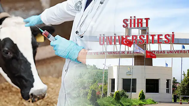 Siirt Üniversitesi Veteriner Fakültesi'nde üç anabilim dalında araştırma görevlisi alımı sonuçlandı