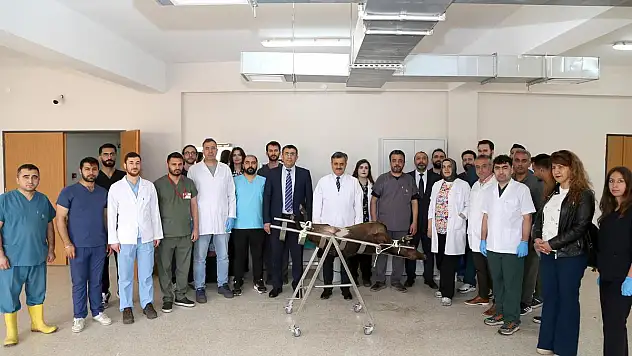 Siirt Üniversitesinde Küçükbaş Hayvanlarda 'Laparoskopik Suni Tohumlama Eğitimi' Semineri Gerçekleştirildi