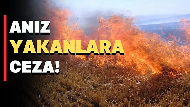 Siirt Valiliği'nden Anız Yakma Yasağı!