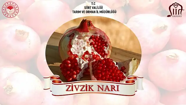 Siirt Zivzik Narı İçin Coğrafi İşaret Başvurusu