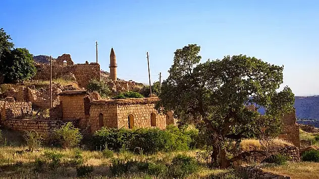 Siirt,Bitlis, ve Şırnak'ın 3 Köyünde Sadece Birer Kişi Yaşıyor
