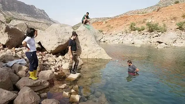 Siirt'e Neden Geldiklerini Açıkladılar!