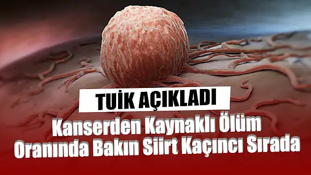 Siirt'in Kanser Ölümlerindeki Oranı Belli Oldu!