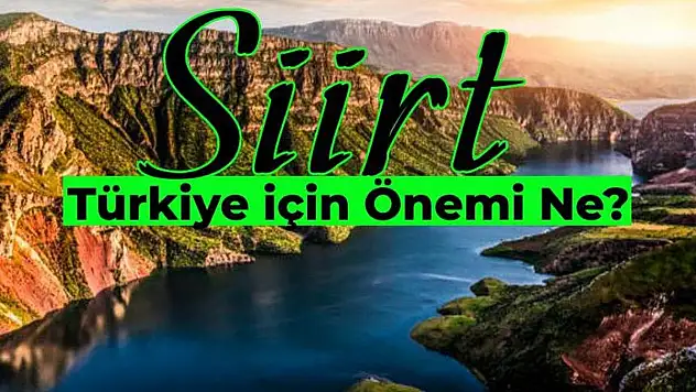 Siirt'in Ülke Ekonomisine Katkısı!