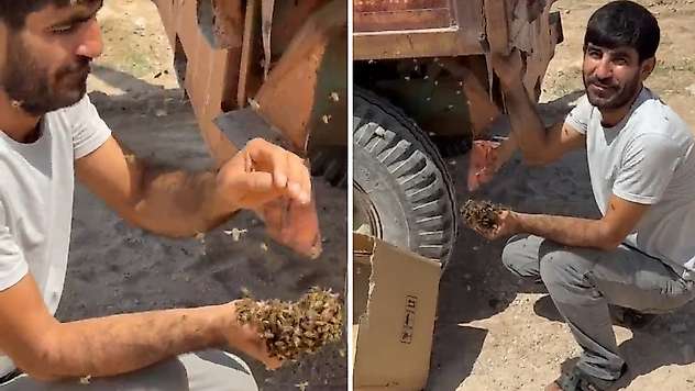 Siirtli Arıcının İlginç Hasadı: Traktör Römorkuna Konan Oğul Arıları Ellerine Aldı