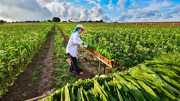 Siirtli Çiftçiler Dikkat: ÇKS Askı İcmallerinde Son Günler