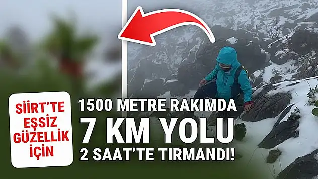 Siirtli Doğa Sever, Kar Altındaki Ters Laleleri Görmek İçin 7 Kilometreyi 2 Saatte Yürüdü