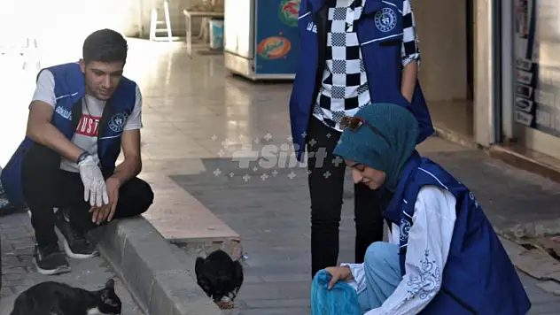 Siirtli Gönüllü Gençler Sokak Hayvanlarını Unutmadı!