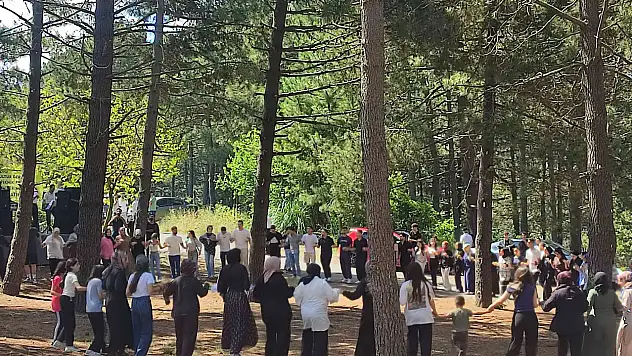 Siirtliler Beykoz'daki Piknik Şöleninde Buluştu