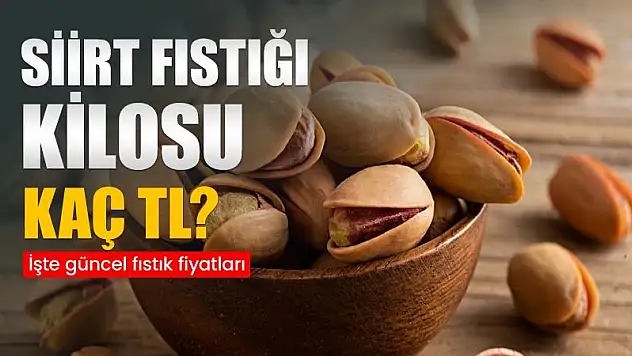 Siirtliler Fıstık Fiyatlarının Şaşkınlığı İçerisinde!