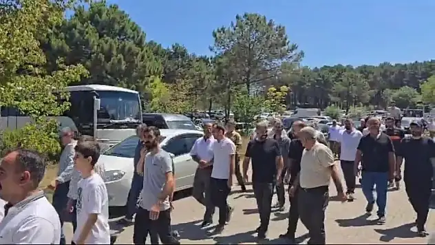 Siirtliler, İstanbul'da Piknik Etkinliğinde Buluştu