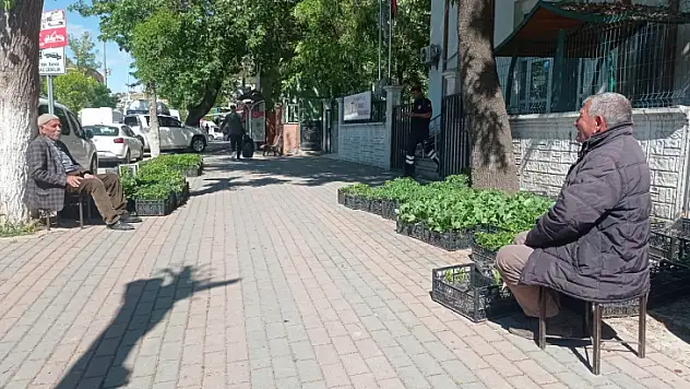 SİİRT'TE 29 YIL ÖNCE KÖYLERİNİ TERK ETMİŞLERDİ ŞU AN SEBZE FİDESİ ÜRETEREK GEÇİMLERİNİ SAĞLIYORLAR