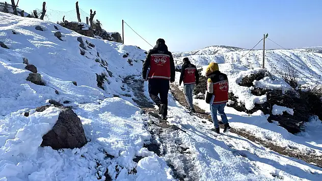 Siirt'te Ağır Kış Aylarının Sessiz Kahramanları!