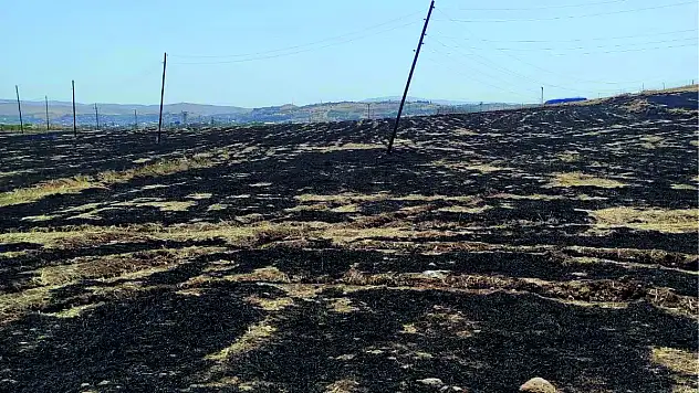 Siirt'te Anız Yakmak Yasağına Uymayan Şahsa İdari Yaptırım Uygulandı