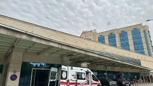 Siirt'te At'ın Başından Isırdığı 8 Yaşındaki Zerda Ağır Şekilde Yaralandı!