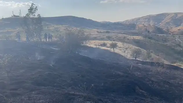 Siirt'te Bağ Yangını!