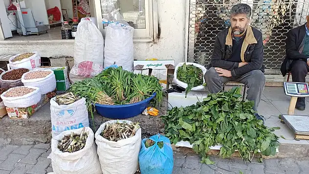 SİİRT'TE BAHARIN GELMESİYLE ŞİFALI OTLAR YEŞERMEYE BAŞLADI 