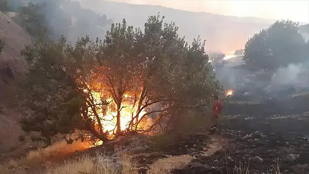 Siirt'te Bahçe Yangını