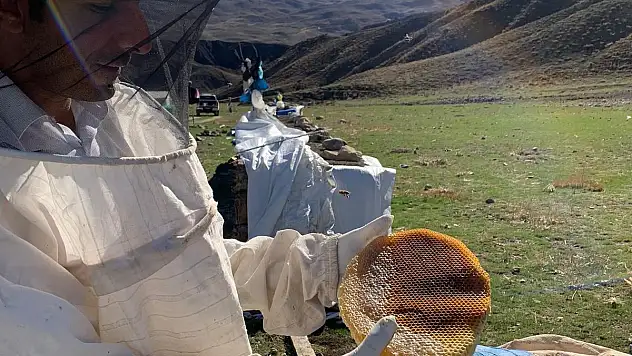 Siirt'te Bal Rekoltesinde Düşüş