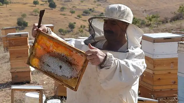 Siirt'te Bal Üretimi Artacak!
