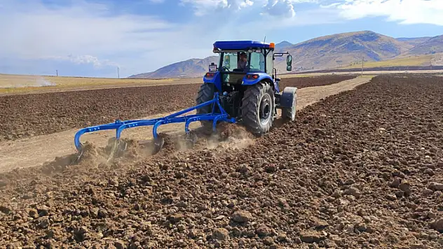 Siirt'te Bir Milyon Dönüm Tahıl Tehlike Altında