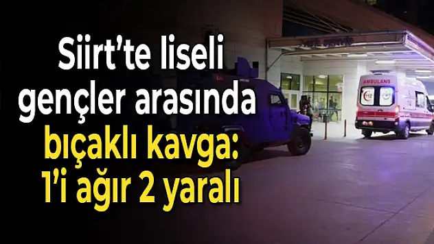 Siirt'te Birbirlerine Bıçakla Saldırdılar