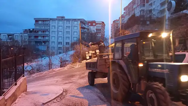 Siirt'te Buzlanmaya Karşı Tuzlama Çalışmaları (Videolu Haber)