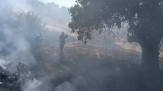 Siirt'te Çıkan Yangın Ormana Sıçramadan Söndürüldü