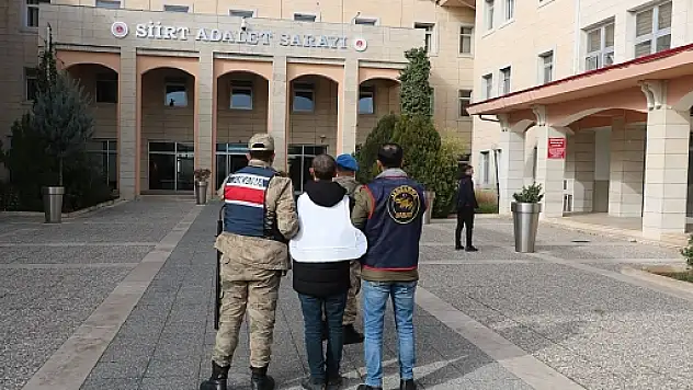 Siirt'te Cinayet Faili Firarisi ve Terör Zanlısı Jandarma Operasyonuyla Yakalandı