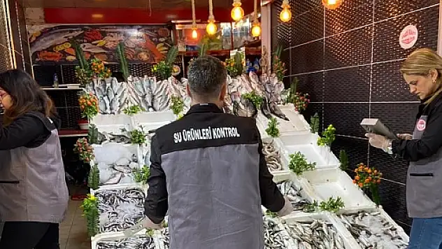 Siirt'te Denetimler Devam Ediyor